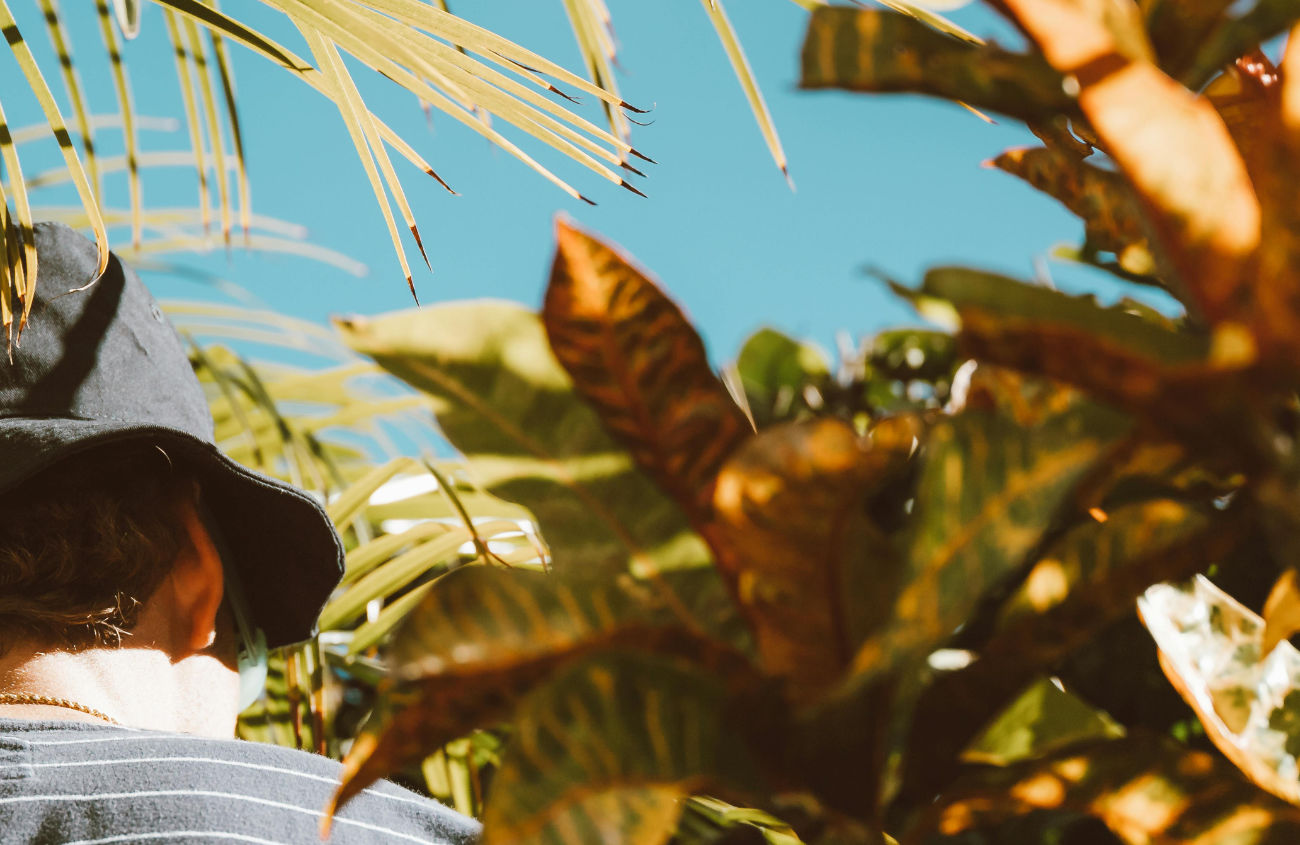 A close-up of plants with someone between, with their growth and beauty representing the meaningful impact of a project. A close-up of plants with someone between, with their growth and beauty representing the meaningful impact of a project.