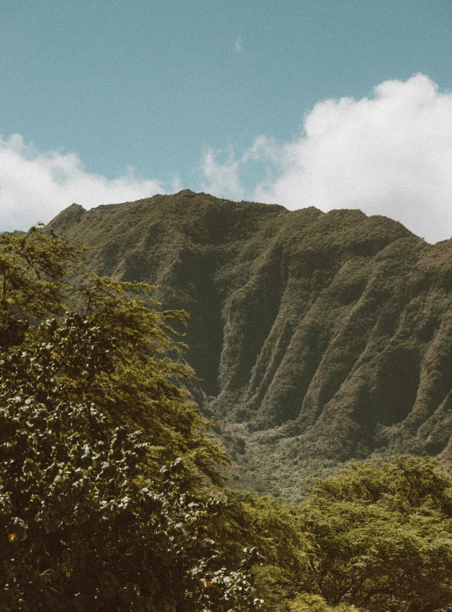 A mountain landscape, with its elevated perspective symbolizing strategic creativity.